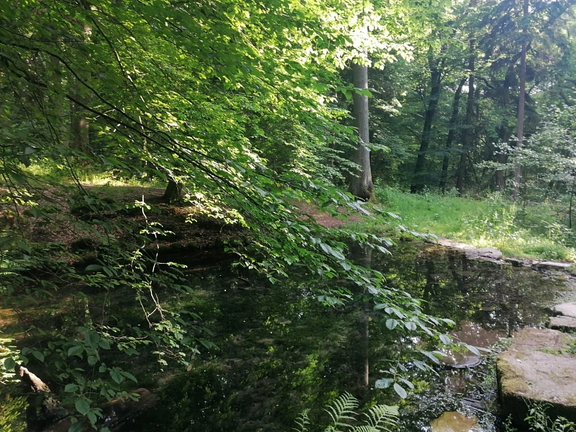 Ahlequelle Ahlequelle © Stadt Holzminden