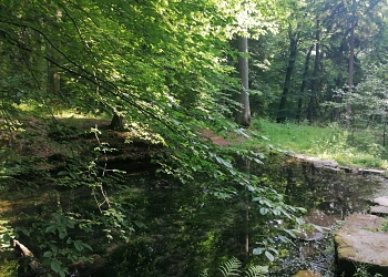 Ahlequelle