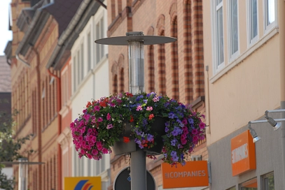Blumenampel Blumenampel auf der Oberen Straße © Stadt Holzminden