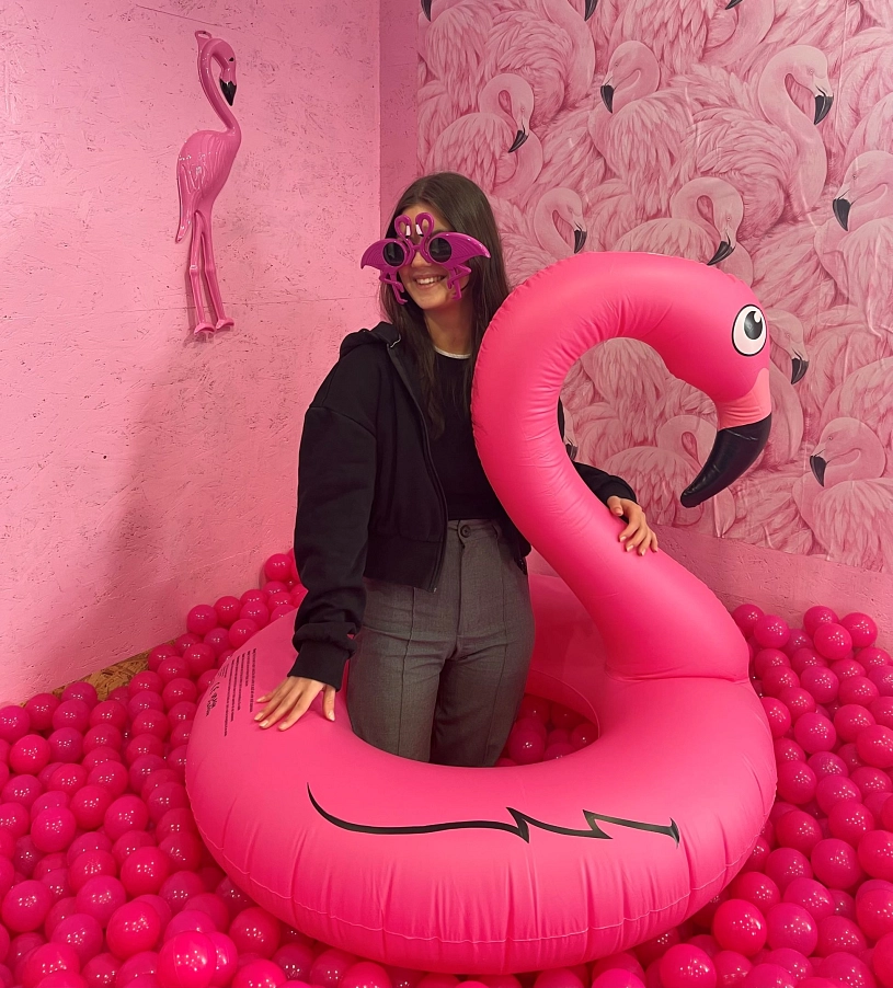 Flamingo 202302