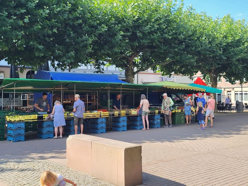 Gemüse Flege