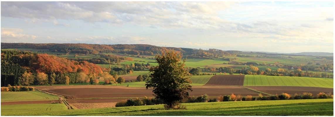 Historisches Weserbergland&nbsp;&copy;&nbsp;Stadtmarketing-Holzminden