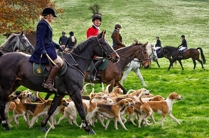 Hubertus-Reitjagd Neuhaus Reitjagd Neuhaus © Stadt Holzminden