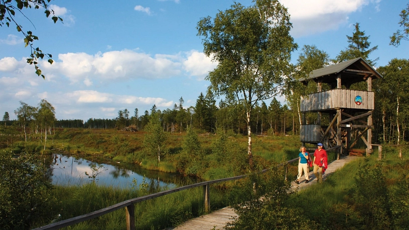 Hochmoor&nbsp;&copy;&nbsp;Stadt Holzminden