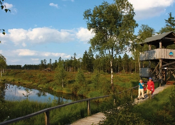 Hochmoor