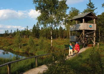 Hochmoor