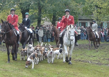 Reitjagd mit Meute