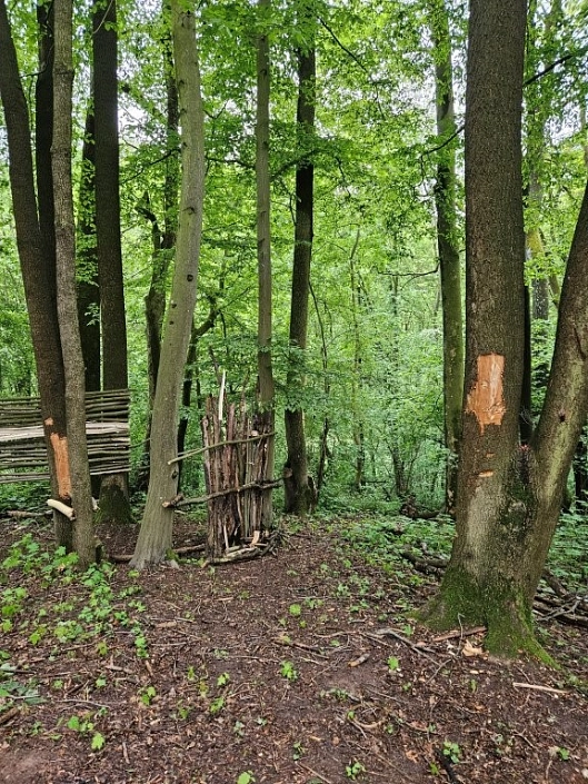 Schäden im Stadtpark&nbsp;&copy;&nbsp;Stadt Holzminden