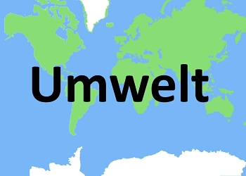 Umwelt